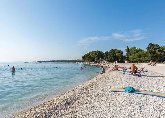 Amazing In With Wifi *